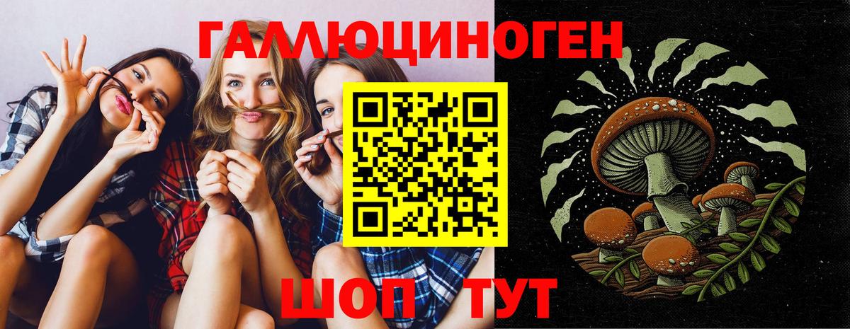Галлюциногенные грибы мицелий  Вход с VPN  Кировск  купить наркотик  Галлюциногенные грибы GOLDEN TEACHER 