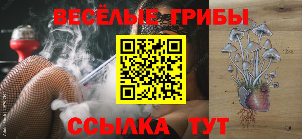 Кокаин  Конопля  Героин  Кировск  A-PVP СОЛЬ кристаллы  Меф кристаллы  Гашиш  Кокаин  Вход с VPN 